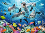 Puzzle: Dolphins in the Coral Reef