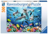 Puzzle: Dolphins in the Coral Reef