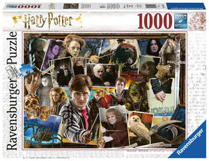 Puzzle: Harry Potter vs Voldemort