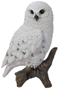 Snow Owl