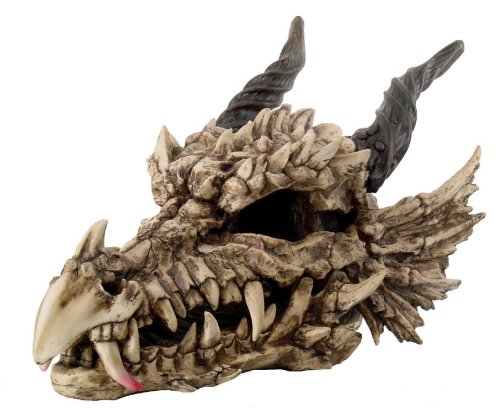 Large Dragon Skull