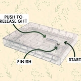 Clear maze toy with labeled start, finish, and push-to-release gift areas on a beige background.
