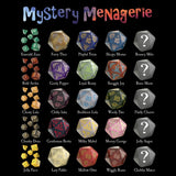 Collection of colorful dice with names on a black background, labeled 'Mystery Menagerie'.
