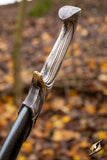 Close-up of a decorative walking stick with a detailed handle against a blurred natural background.