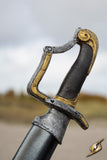 Close-up of a sword with a detailed hilt against a blurred natural background