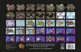 Collection of variously shaped and colored stone-like figurines on a black background