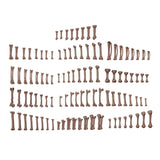 AK Interactive Basing Bits: Human Bones (120 Pieces)