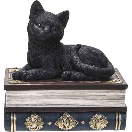 Black Kitten on Books