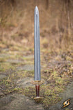 Decorative sword with a detailed hilt on a natural background
