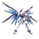 Mobile Suit Gundam Seed: Freedom Gundam #005 (RG)