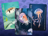 Three marine-themed cards featuring a pufferfish, nautilus, and jellyfish on a purple background with sea patterns.