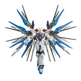 Mobile Suit Gundam Seed Destiny: Strike Freedom Gundam #014 (RG)