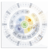 Circular advent calendar with numbered sections and small images on a white background