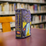 Plush toy shaped like 'The Wonderful Wizard of Oz' book on a table with bookshelf background