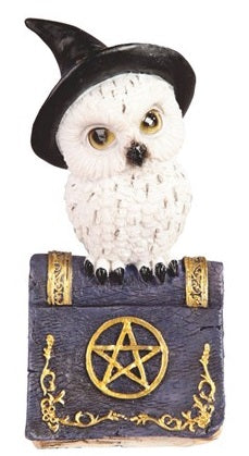 Owl on Book - Black Hat