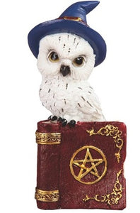 Owl on Book - Blue Hat