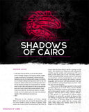 Shadowrun RPG: Risks & Rewards (6E)