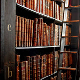 Shelves filled with old books and a ladder in a library setting