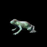 Metallic frog figurine on a black background