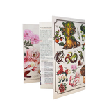 Floral and nature-themed greeting card with illustrations on a white background
