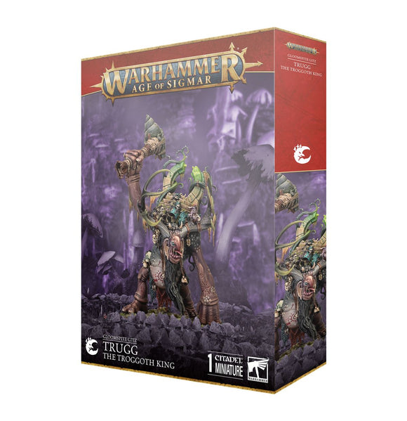 Warhammer Age of Sigmar game box with a miniature figure on a white background