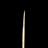 Paintbrush with a black handle and white bristles on a transparent background