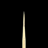 Paintbrush with a black background