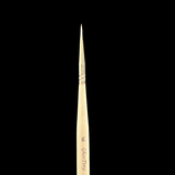 Fine paintbrush with a black background