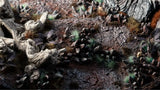 Close-up of a rocky surface with small plants and moss