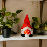 Gnome plush with red hat and mushroom on a shelf with plants
