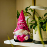 Gnome plush with a pink hat and heart, sitting on a surface with plants in the background.