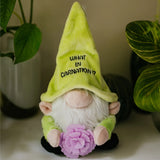 Gnome with a yellow hat and purple flower, text 'What in Carnation?' in a home setting.