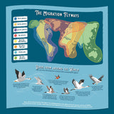 Map of migration flyways with illustrations of birds on a blue background
