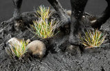 Small plants growing in a crevice between dark, twisted tree roots.