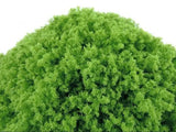 Close-up of green moss-like material on a white background