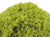 Close-up of a green tree with a white background