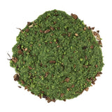 Round green moss-like material on a white background