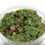 Glass jar filled with green moss and brown leaves on a white background