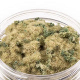 Glass jar filled with green moss-like material on a white background