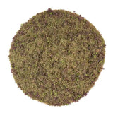 Round piece of green moss on a white background