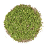 Green and brown granular material on a white background