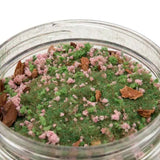 Glass jar filled with a mix of green moss, pink flowers, and brown leaves on a white background