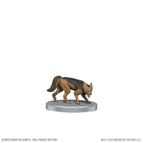 Jackal figurine on a white background