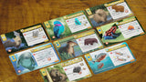 animal cards