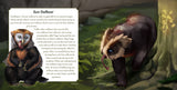 Baby Bestiary: Hoot & Growl - An Owlbear Lorebook - Softcover