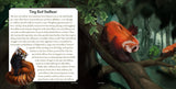 Baby Bestiary: Hoot & Growl - An Owlbear Lorebook - Softcover