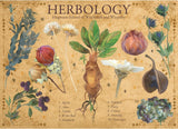 Herbology chart from Hogwarts School of Witchcraft and Wizardry with various plants and their names.