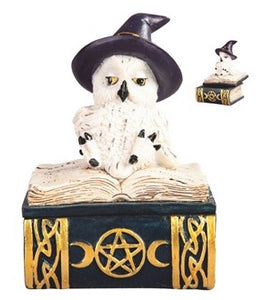 Owl on Book Trinket Box - Blue