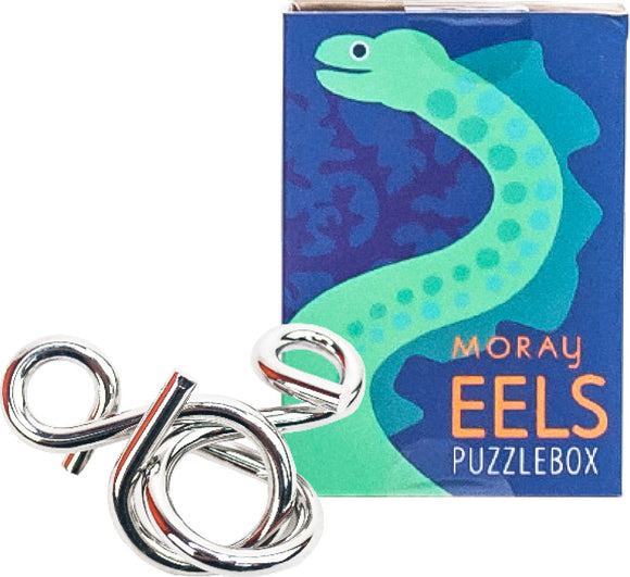 Moray Eels puzzle box with metal rings on a white background