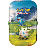 Pokémon trading card game packaging with two Pokémon characters on a grassy field background.